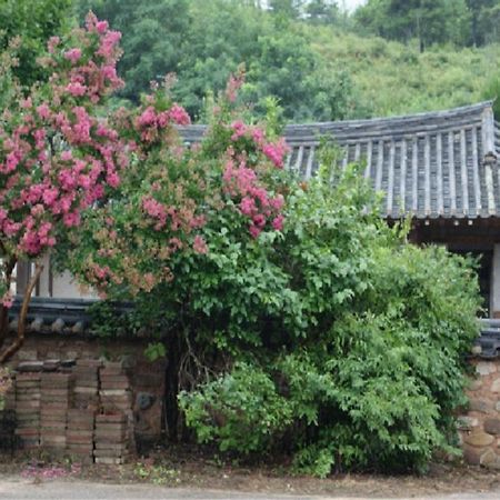 Jeongjaejongtaek Hanok Guesthouse Andong Extérieur photo