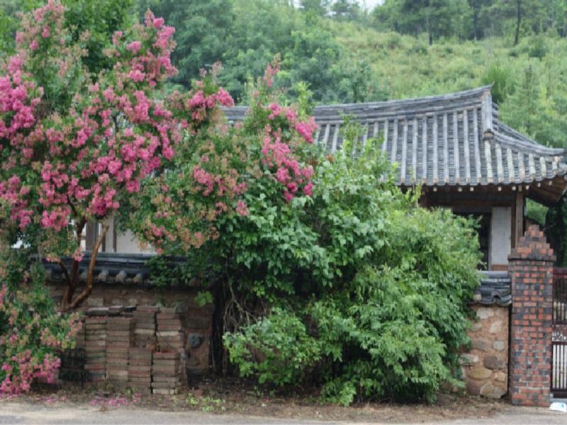 Jeongjaejongtaek Hanok Guesthouse Andong Extérieur photo